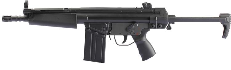 Air BB Rifle
